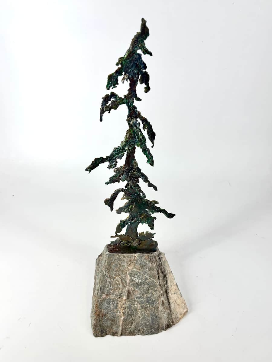 Rooted in Stone 1 by Stephen Cole Fine Art, Image 1.