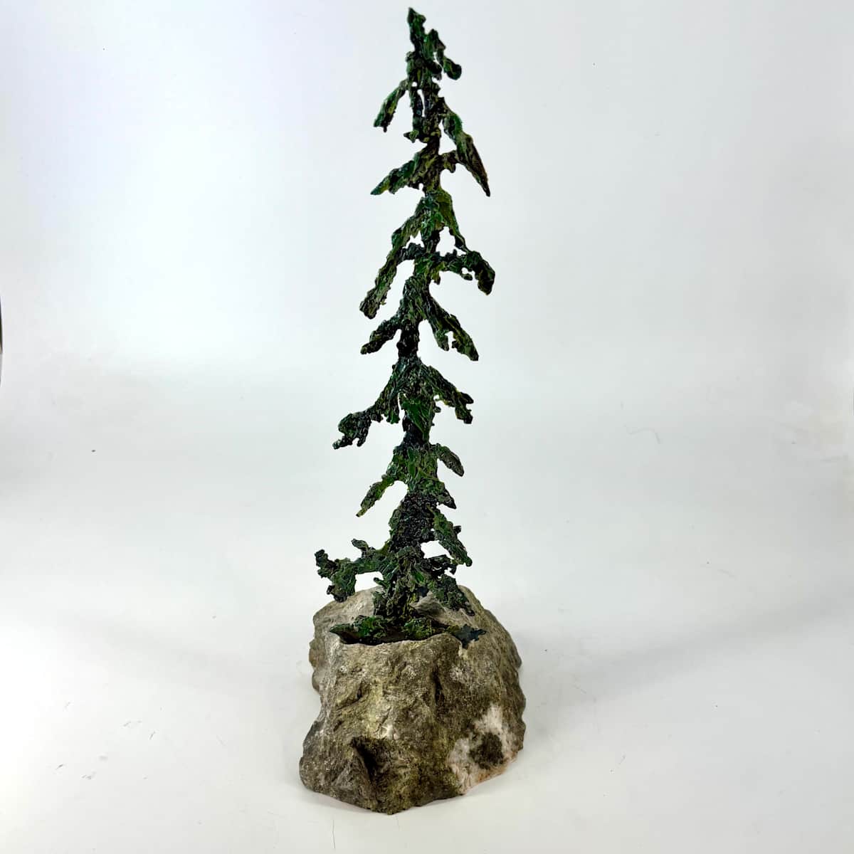 Rooted in Stone 2 by Stephen Cole Fine Art, Image 1.