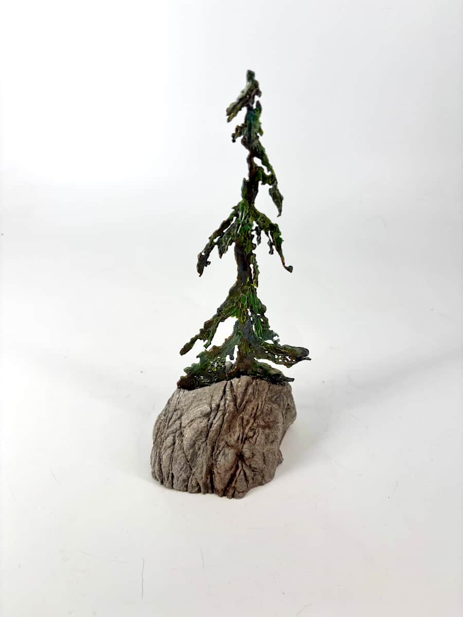 Rooted in Stone 4 by Stephen Cole Fine Art, Image 1.