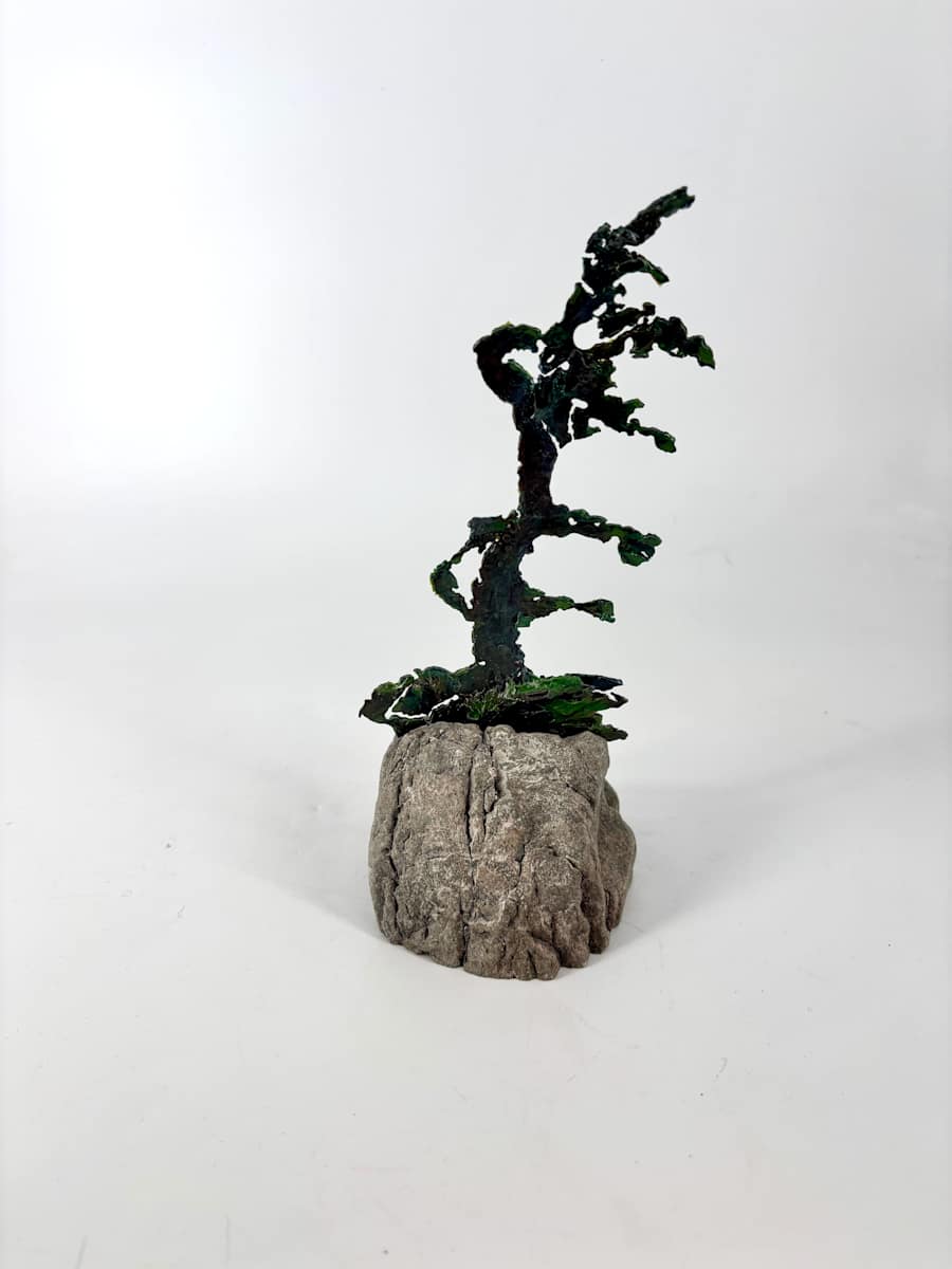 Rooted in Stone 5 by Stephen Cole Fine Art, Image 1.