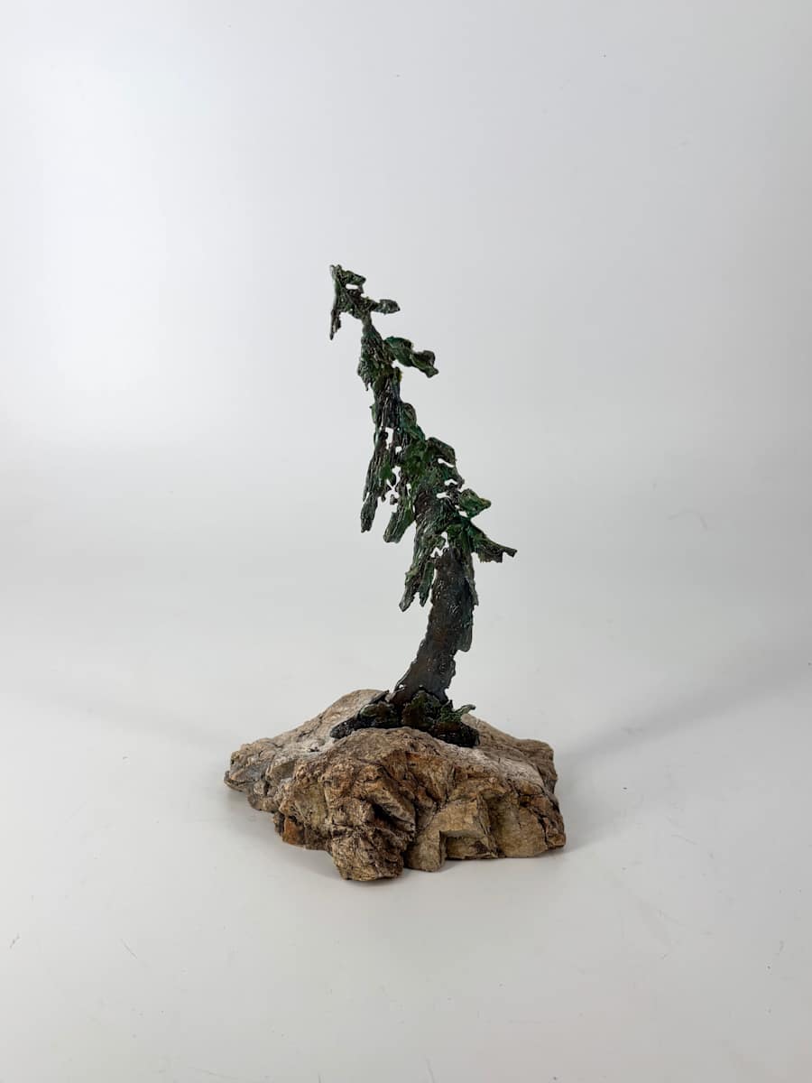 Rooted in Stone 7 by Stephen Cole Fine Art, Image 1.