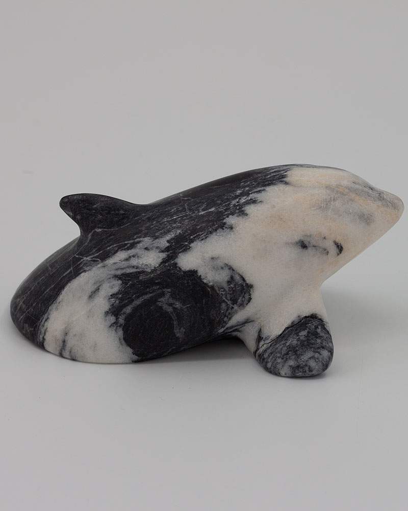 Baby Whale, Image 2.
