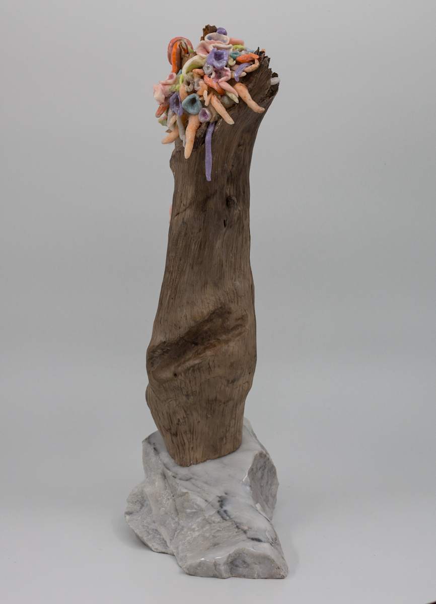 Wizard, Image 6.