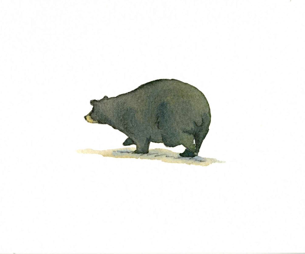 Blueberry Bear  Image: A  bear fat from blueberries.
spot illustration