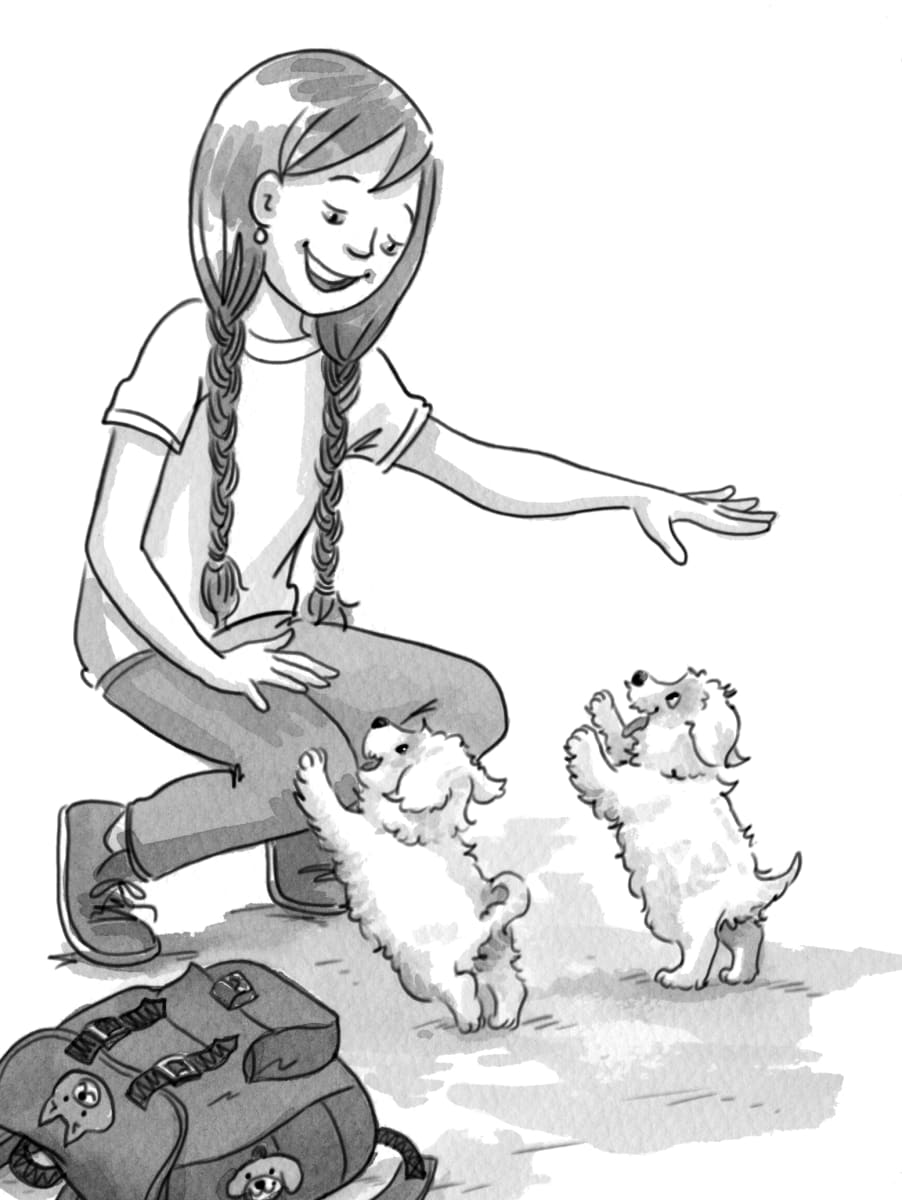 Bijou Needs a Home: Two Bichon Frisé Puppies greet Kat  Image: Illustration from chapterbook "The Puppy Collection #4: Bijou Needs a Home" ©2014 Susan Hughes, Scholastic Canada, p028-29 cropped