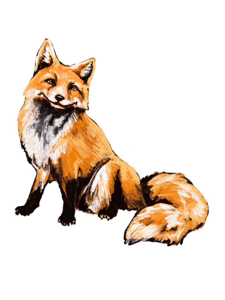 Fluff, Character Illustration, Image 1.