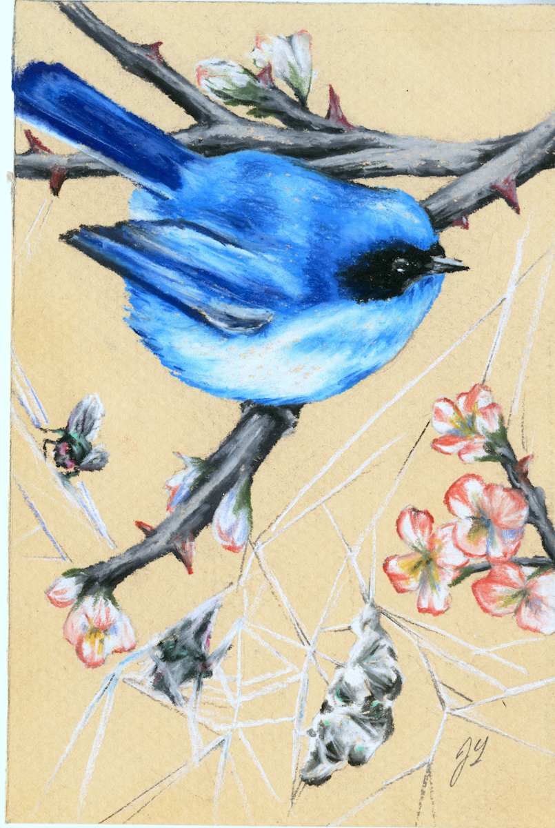 Flys, Part 1 by Joy N. Taylor, Image 1.