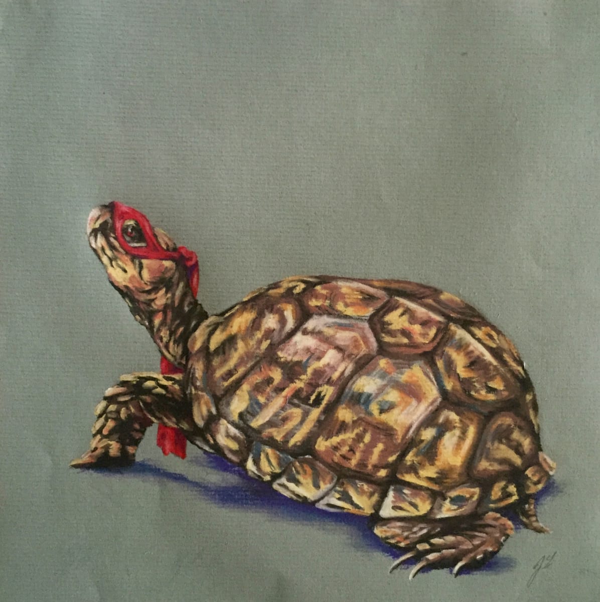 Raphael, Heroes in the Half-Shell by Joy N. Taylor, Image 1.