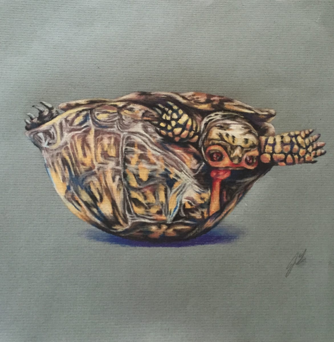 Michelangelo, Heroes in the Half-Shell by Joy N. Taylor 