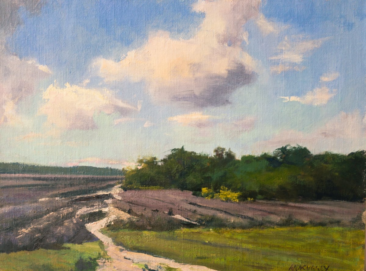 Cotton Fields by ann currey 