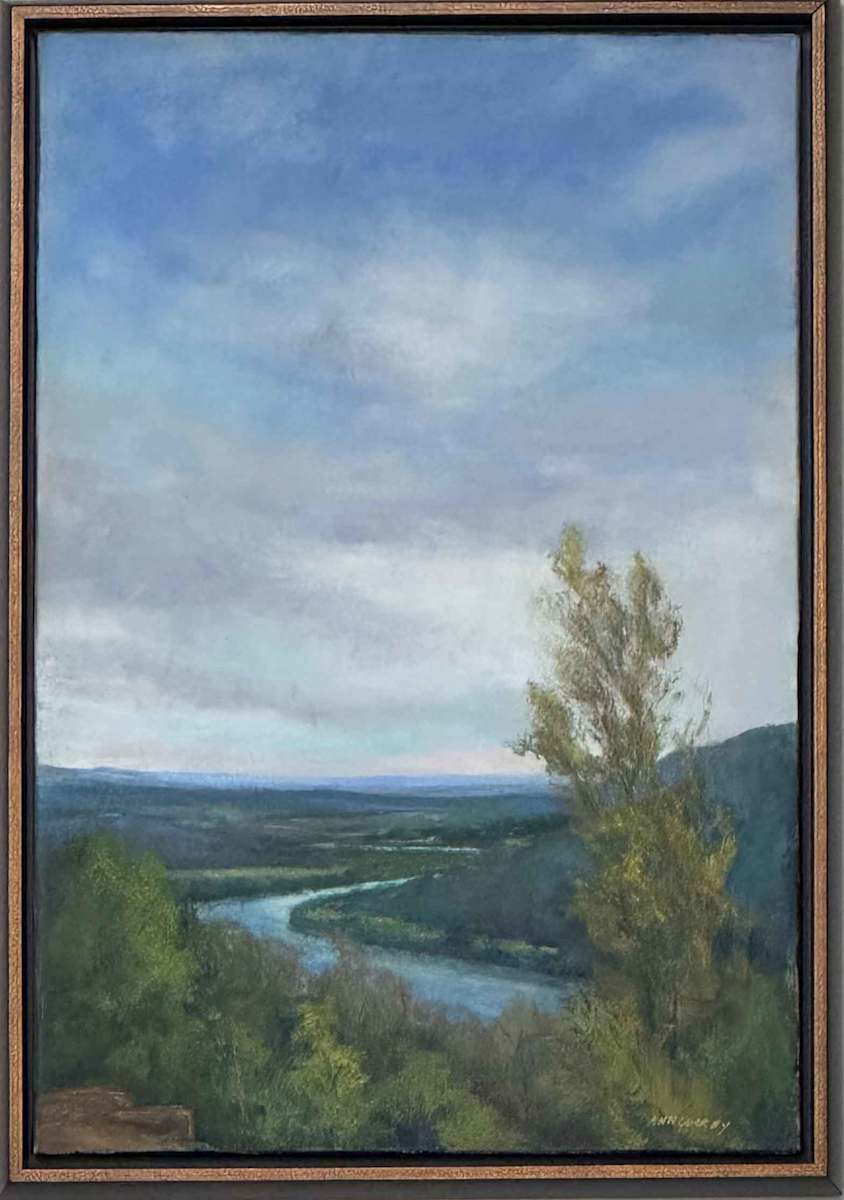 Brow View by ann currey 