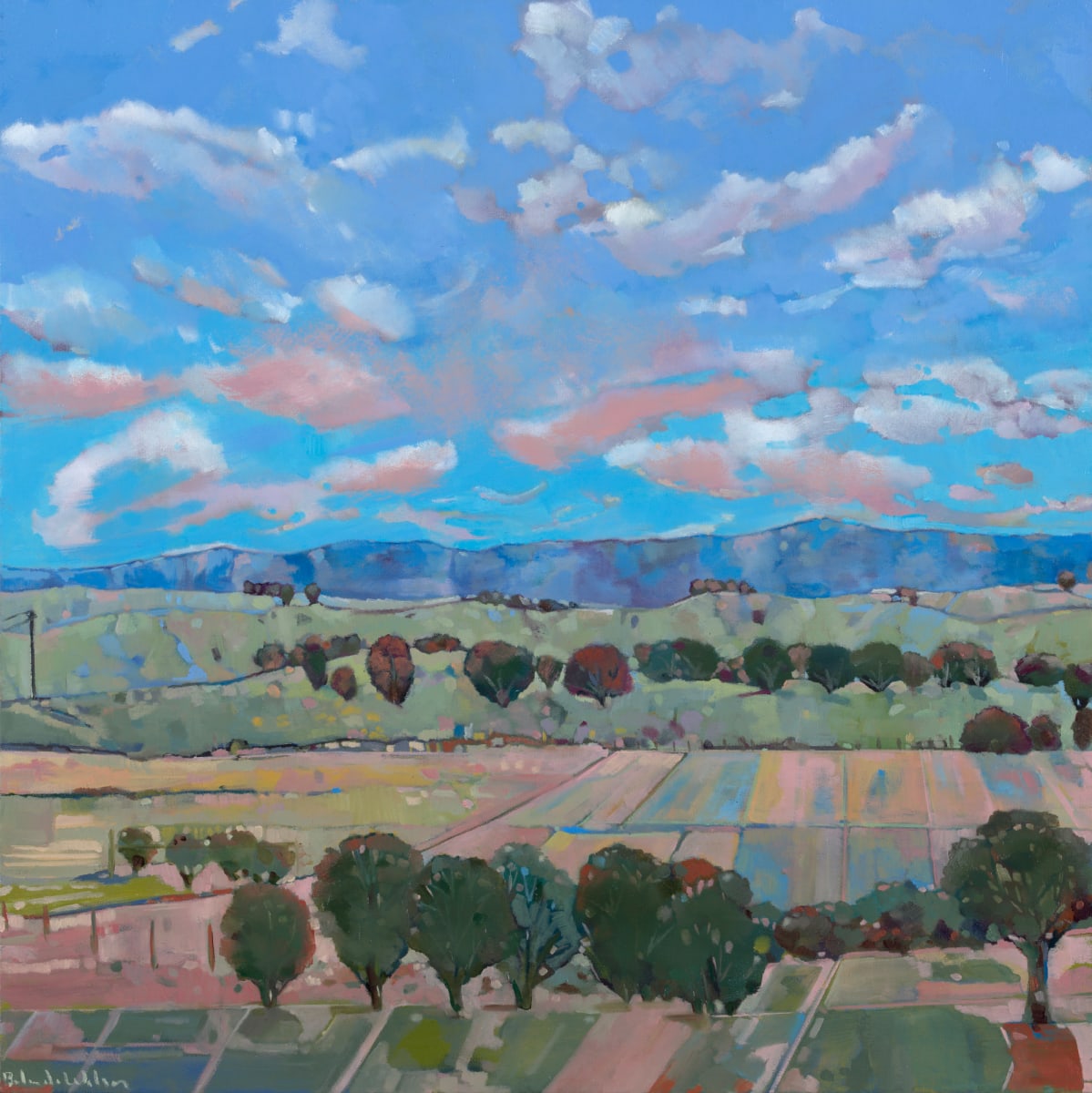 Beneath Seppeltsfield skies by Belinda Wilson, Image 1.