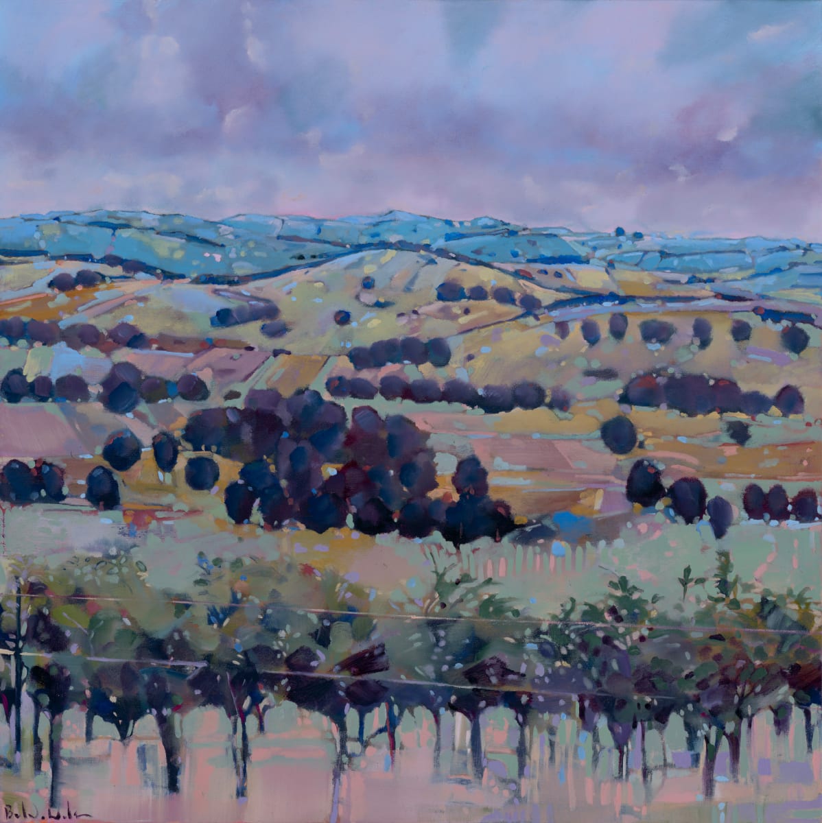 When dusk sets in – Vine Vale by Belinda Wilson, Image 2.