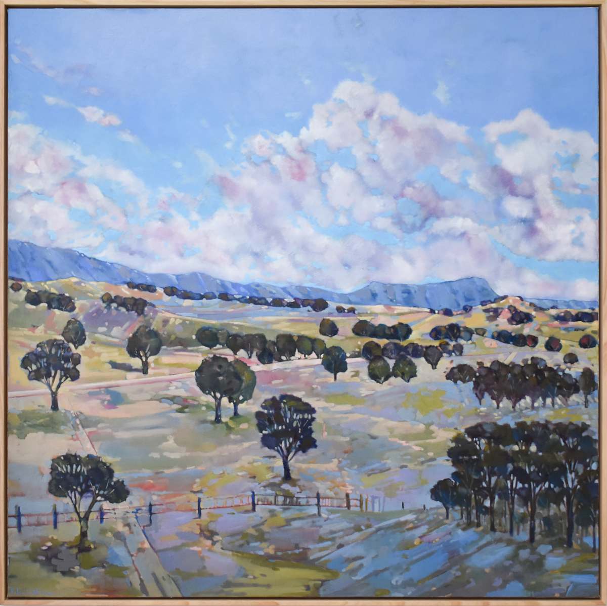 Spring unfolding - Cathedral Ranges by Belinda Wilson, Image 1.