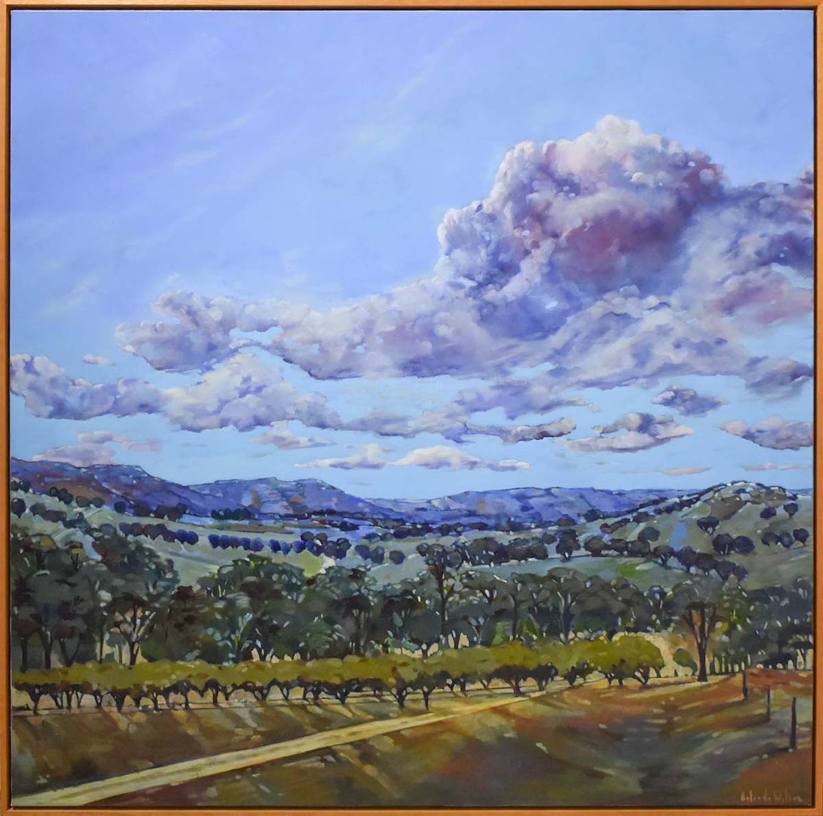 Breathing sky: Yarra Valley by Belinda Wilson, Image 4.