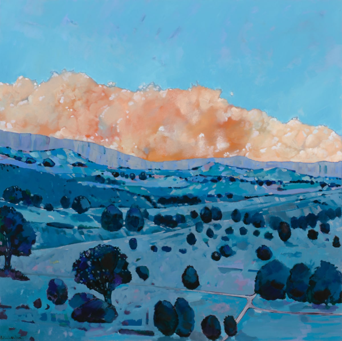 Colour connection by Belinda Wilson 