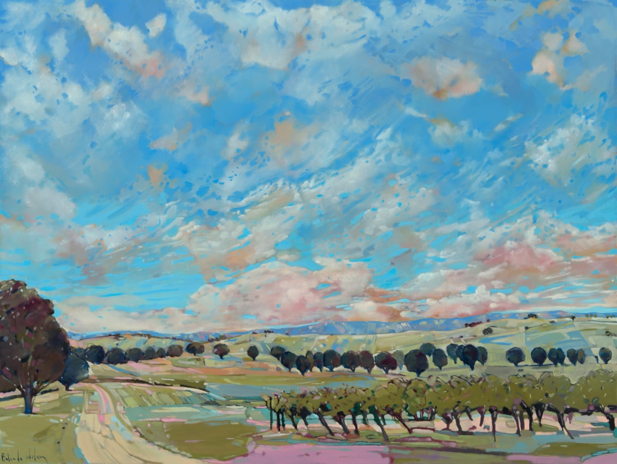 Flaxman Valley views by Belinda Wilson, Image 4.