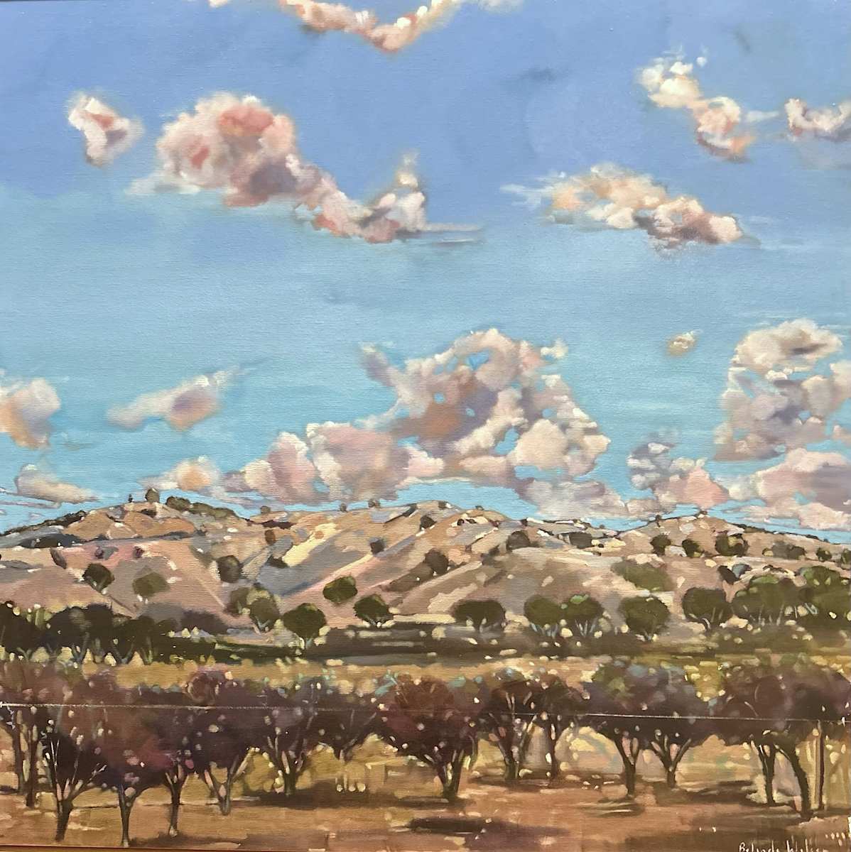 Foothills of the Barossa by Belinda Wilson, Image 1.