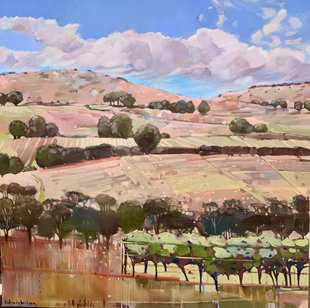 Harvest hues over Rowland Flat by Belinda Wilson, Image 5.