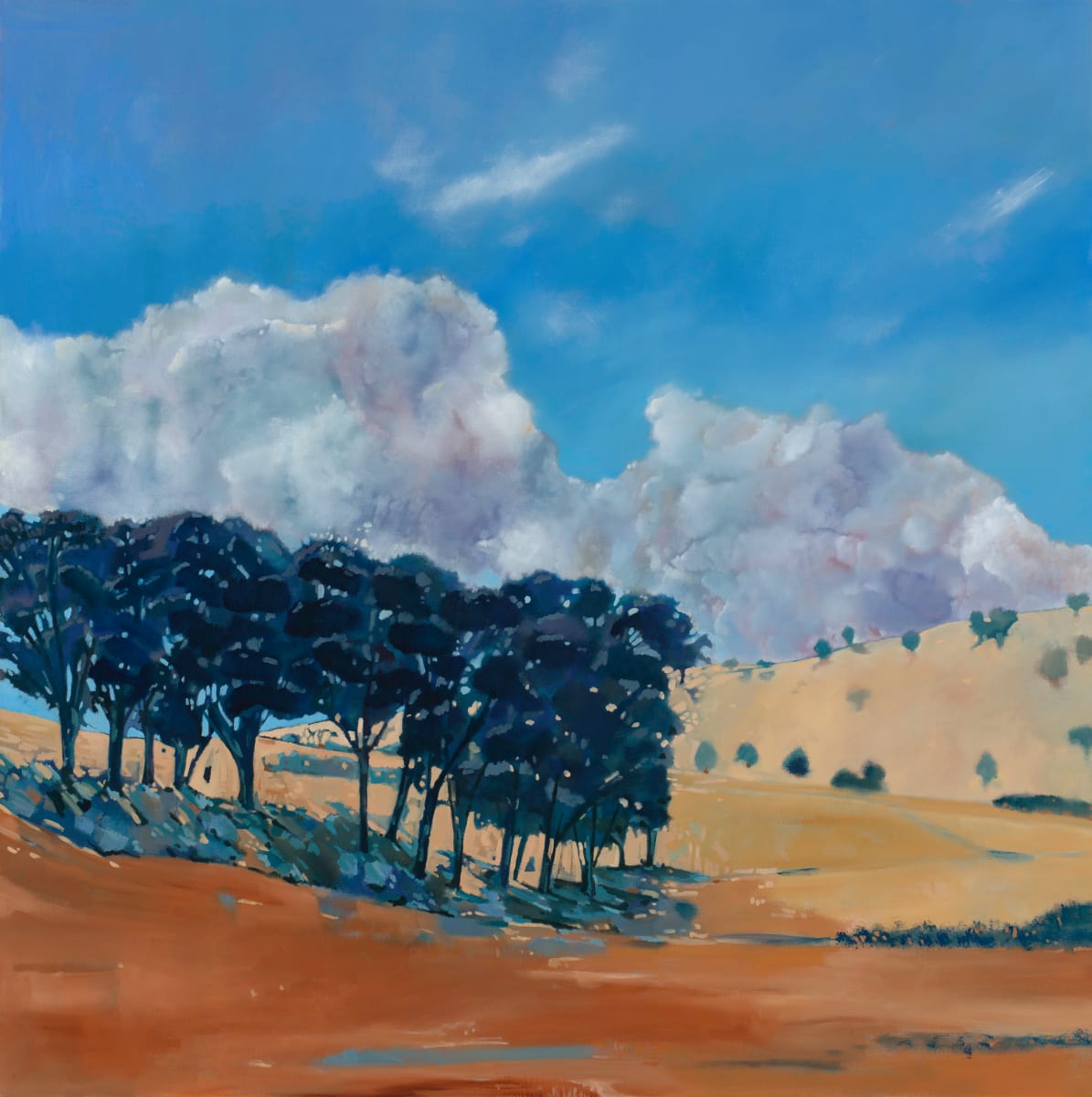 A brand new day by Belinda Wilson, Image 5.