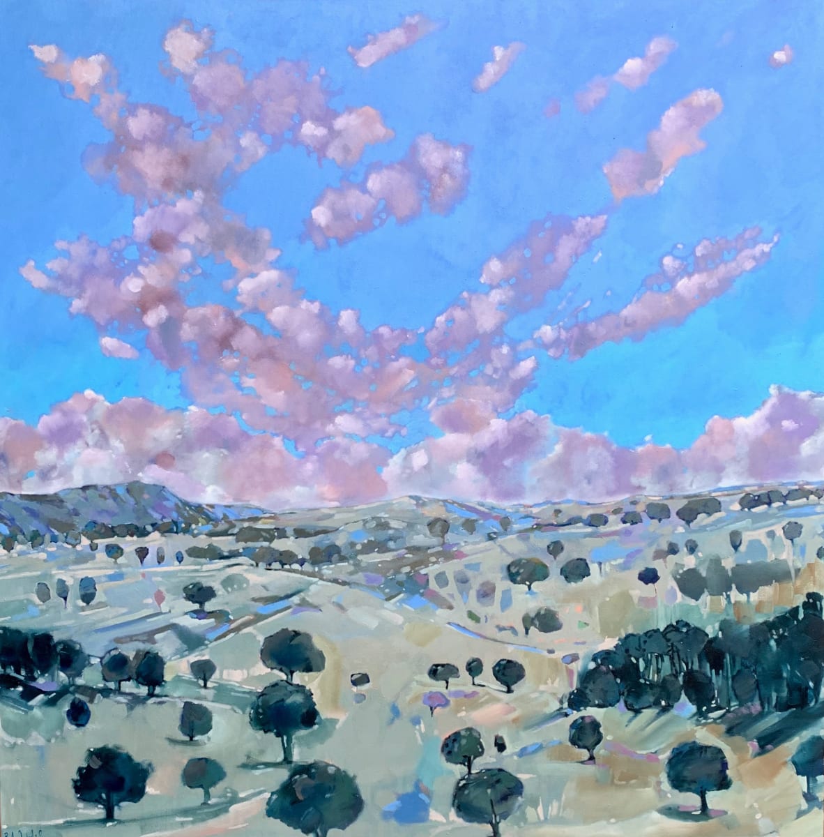 Not a care in the world by Belinda Wilson, Image 3.