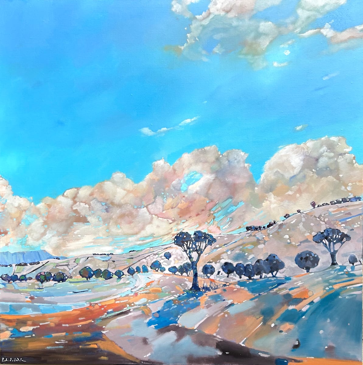 Watching the skies by Belinda Wilson, Image 2.