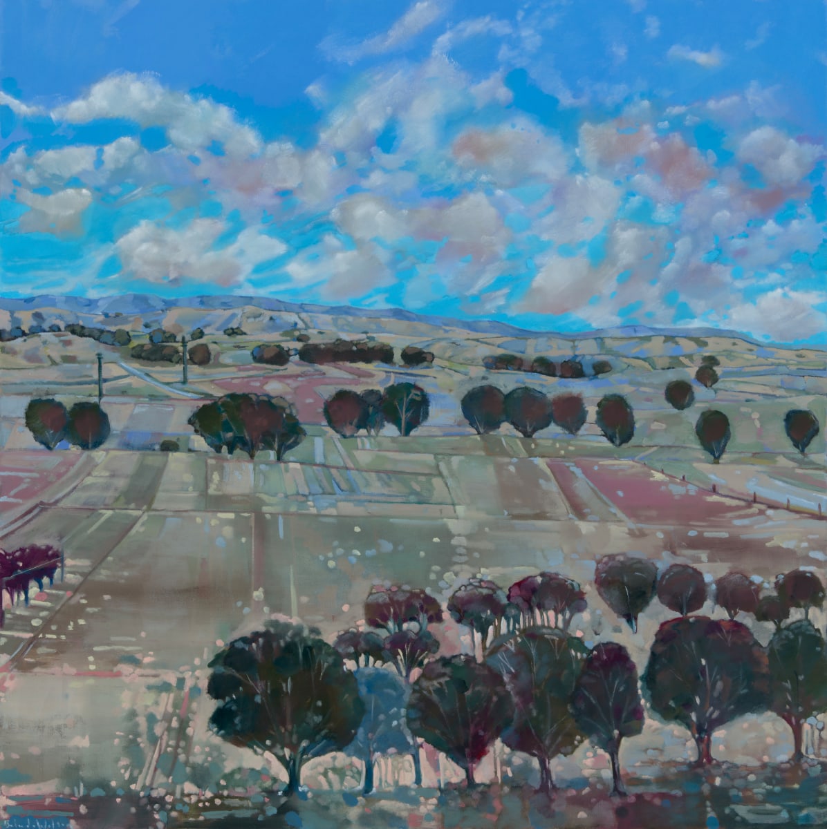 Summer in Seppeltsfield by Belinda Wilson, Image 2.