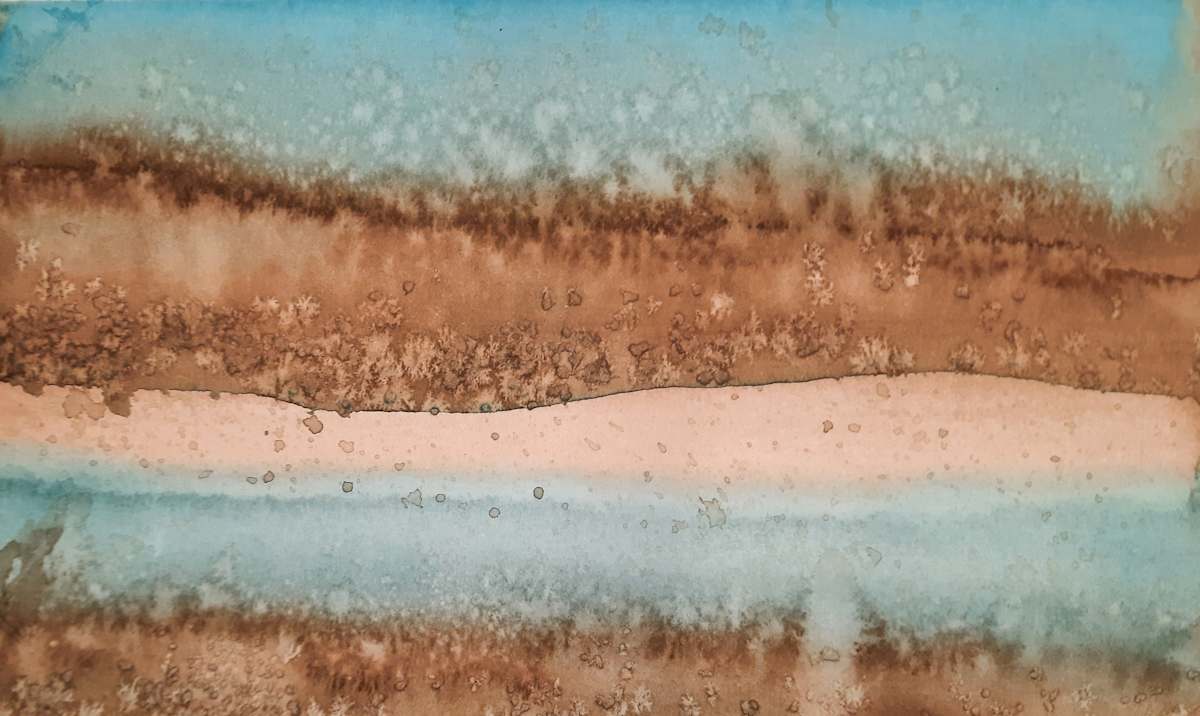 Bruine, Image 14.