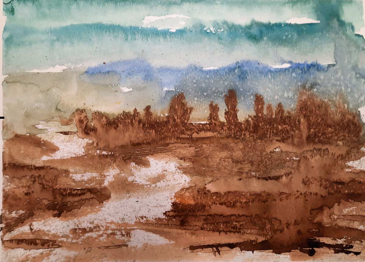 Bruine 2, Image 3.