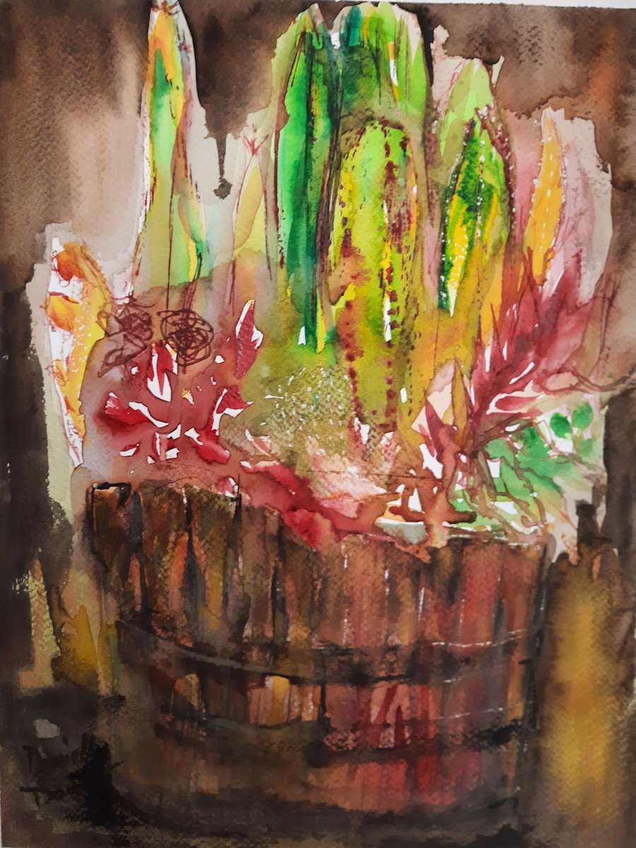 Martha's succulents by Danielle Doucet, Image 5.