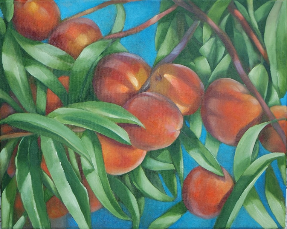 Peach Tree by Rosemarie Adcock 