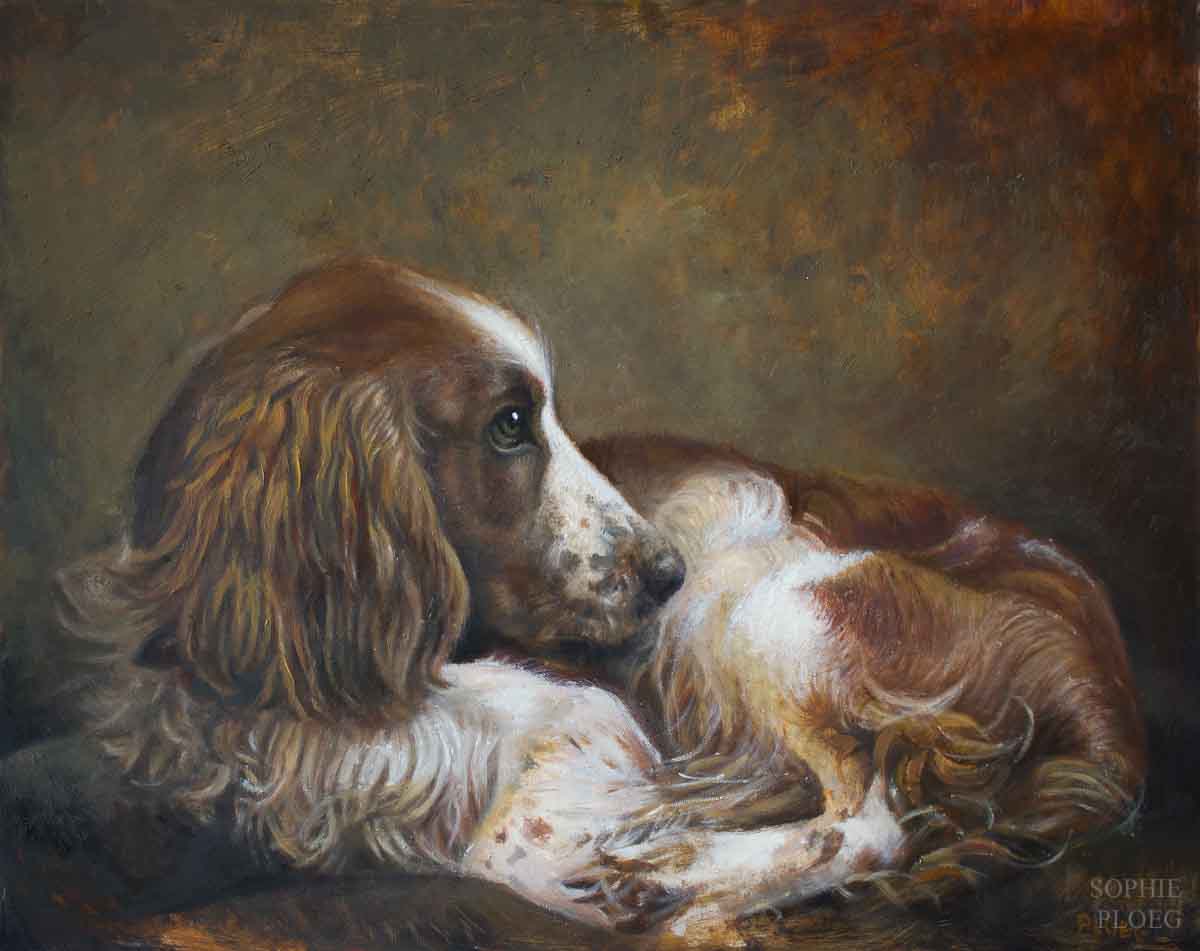 Portrait of a Spaniel by Sophie Ploeg 