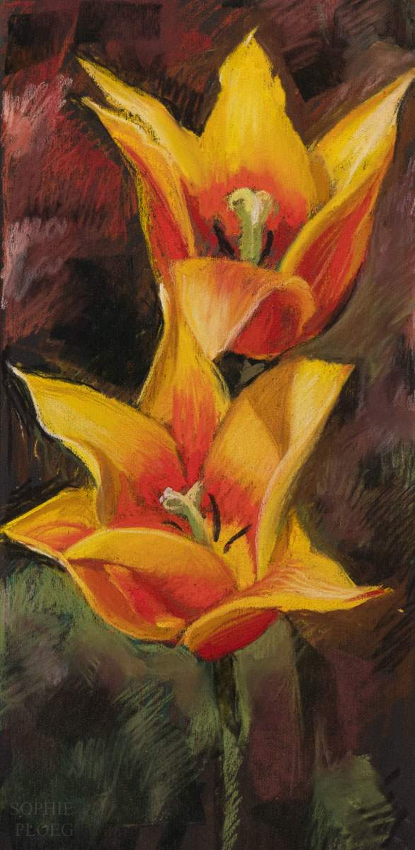 Tulips by Sophie Ploeg 