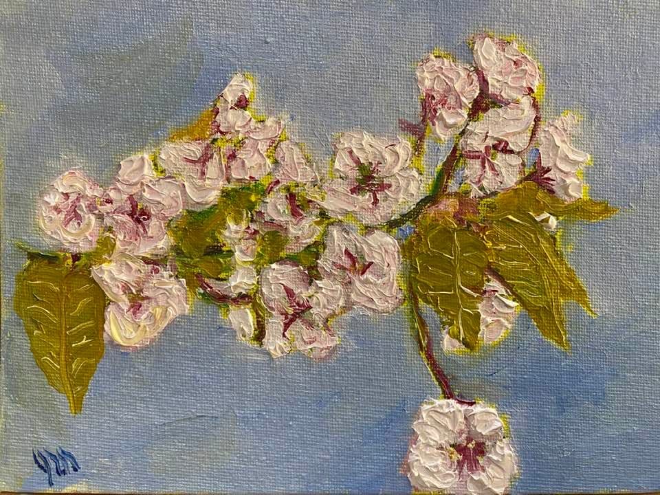 Blossom Branch by john macarthur 