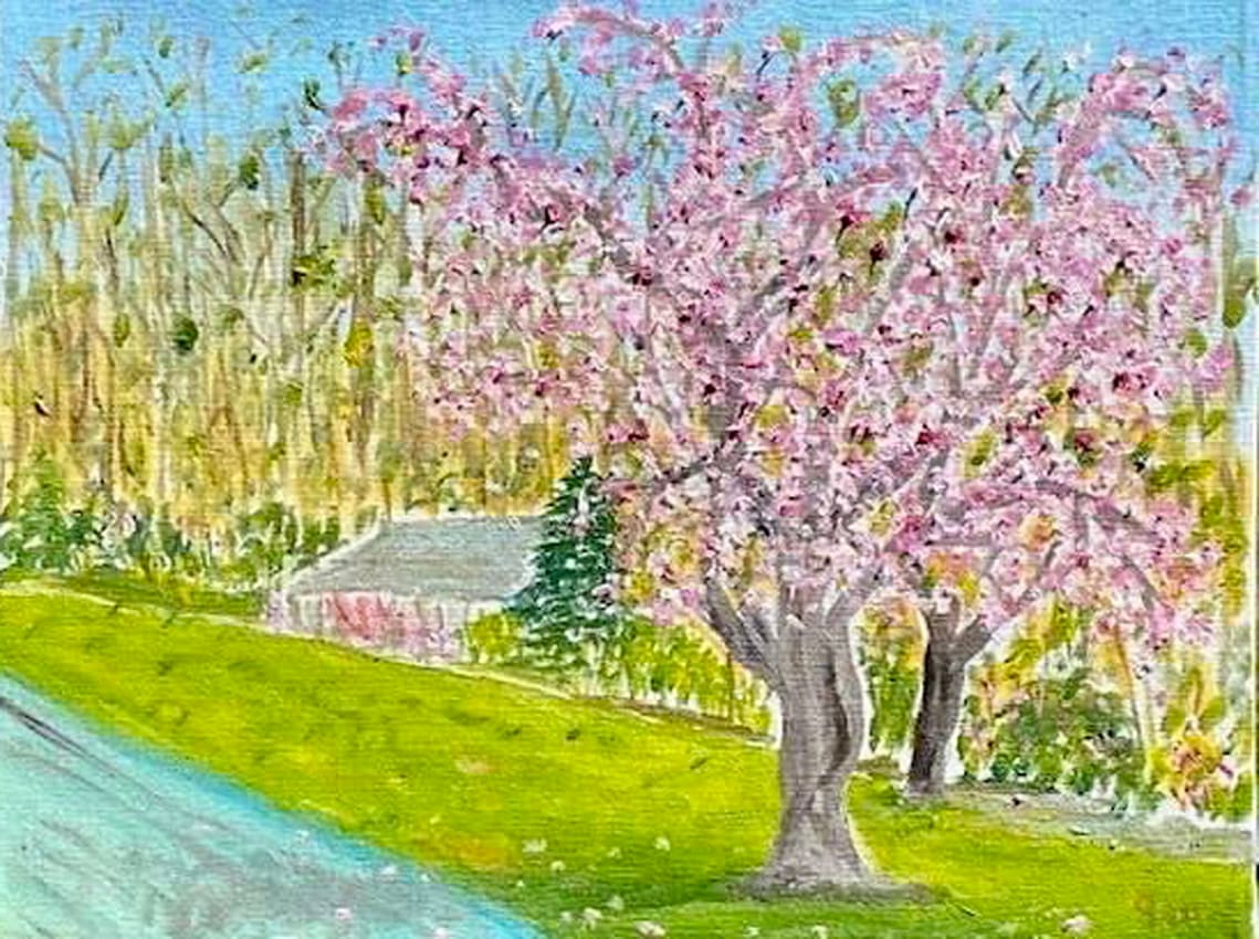 Brookside Blossoms by john macarthur 