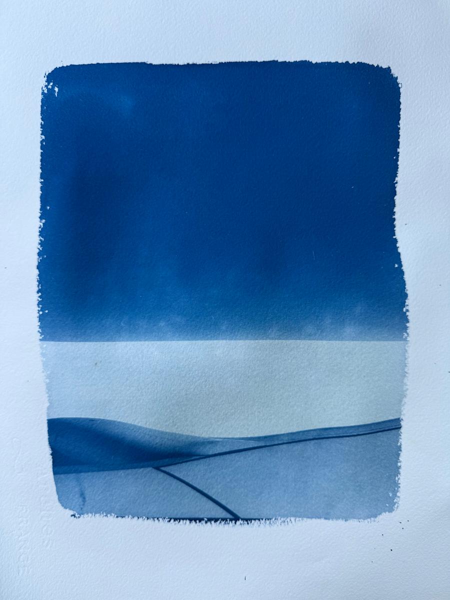 Cyanotype Suite by Krista Machovina, Image 1.
