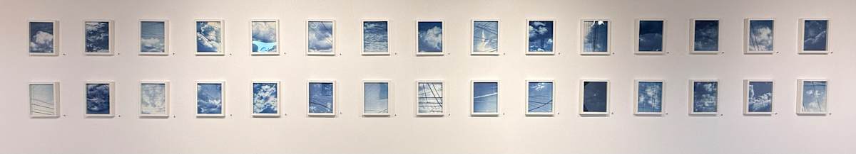 Entanglement Theory Cyanotype Series by Krista Machovina, Image 2.