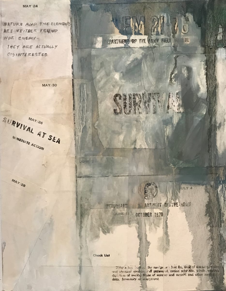 Survival Series: Neither Friend nor Enemy by Krista Machovina 