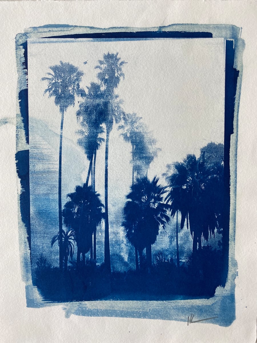 Palms, Image 1.