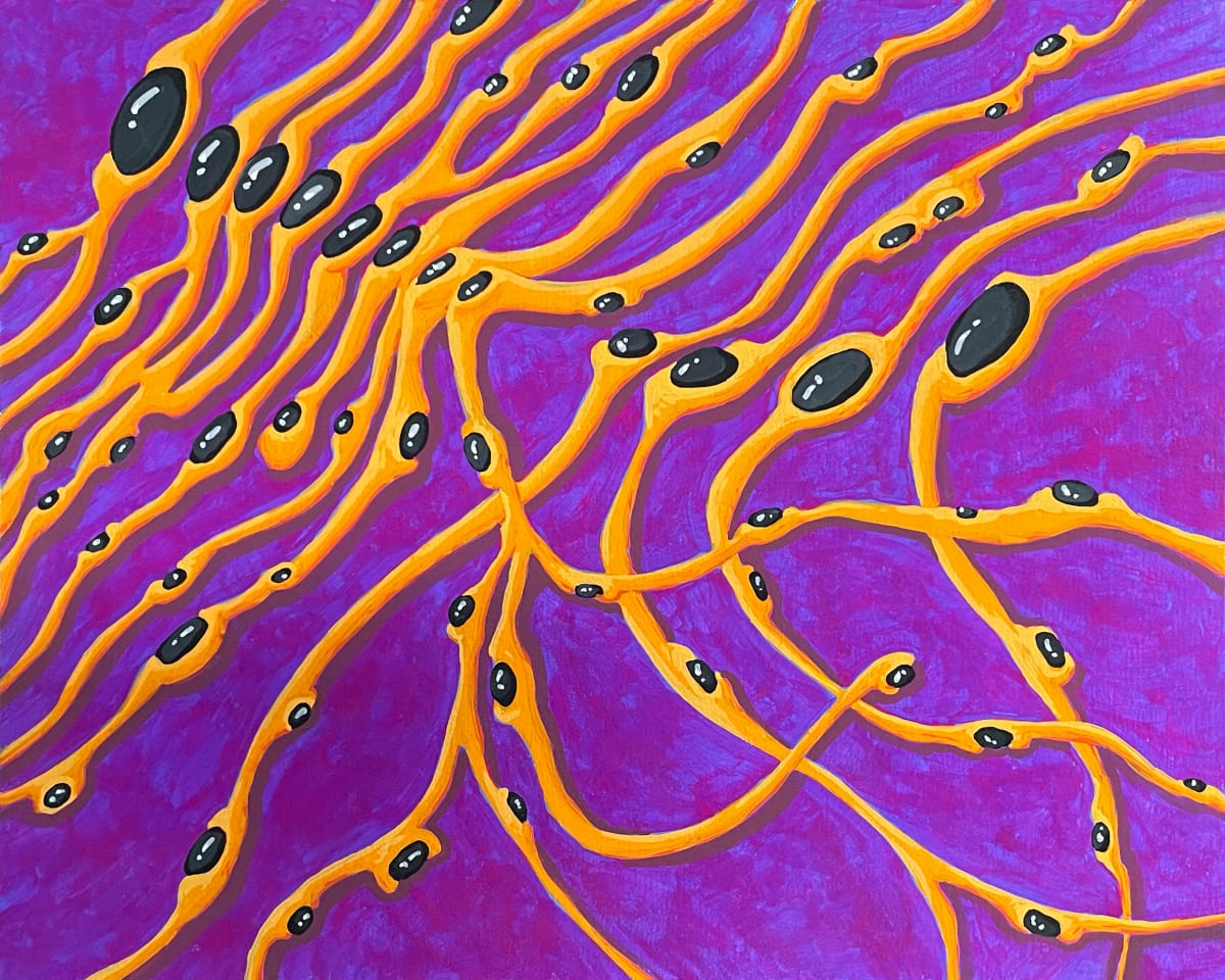 Spindly-eye Study, Image 7.