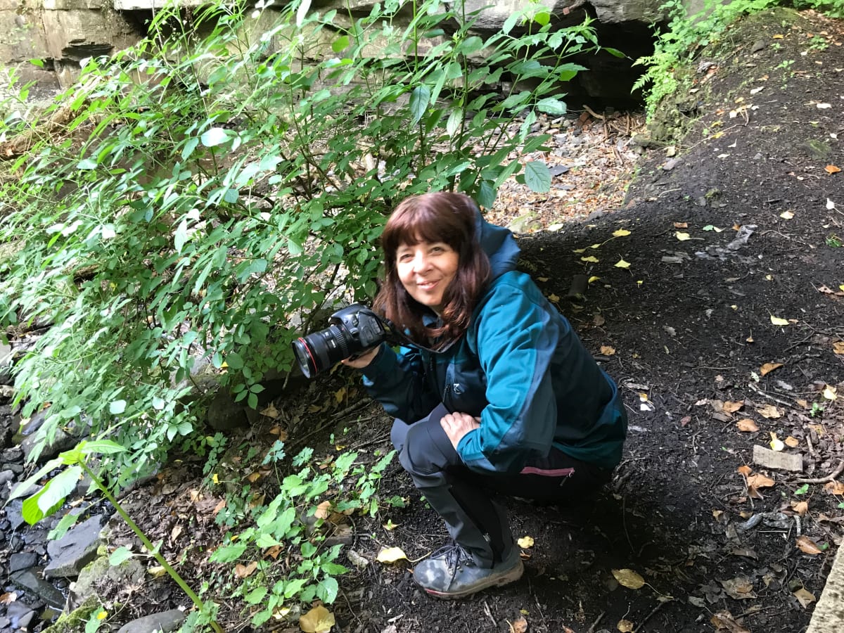 camera shot 