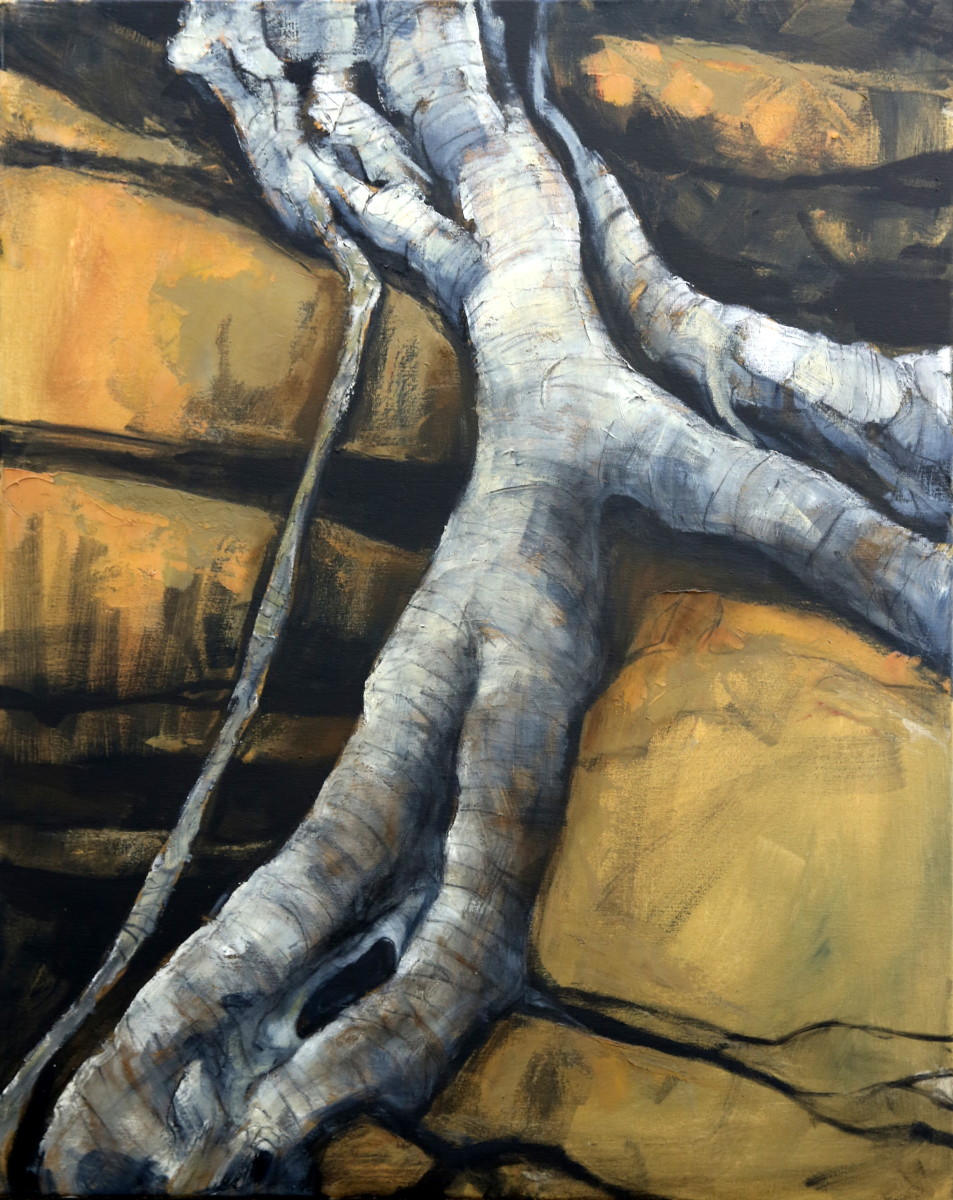 Root over rock 02 by Josephine Josephsen   