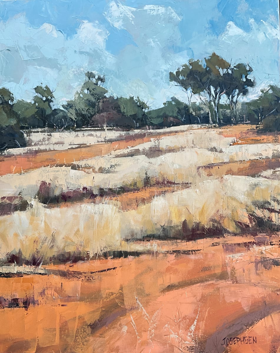 Near Nyngan by Josephine Josephsen  Image: Typical Australian landscape western NSW