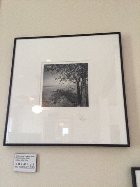 Looking West by Michael Gray 