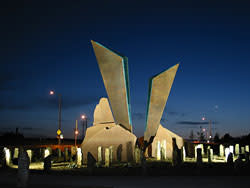 Flor del Llano by Greg Reiche 