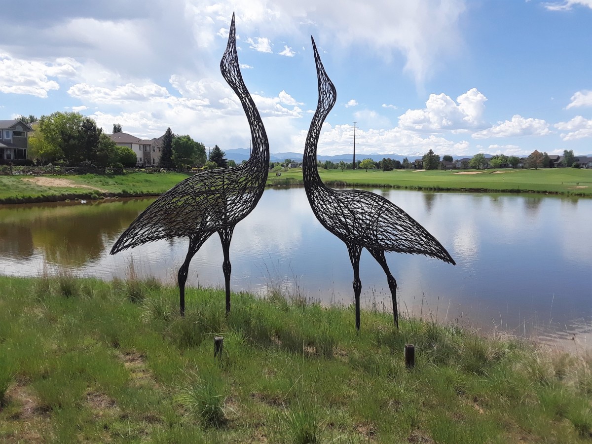 Great Blue Herons by Peter Busby 