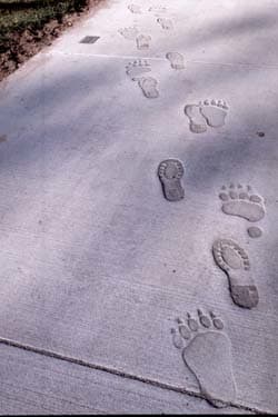 Tracks by Gregg LeFevre, Image 1.