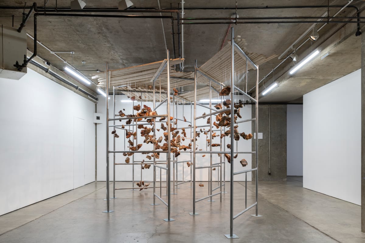 Here Tell, Quantum Black, 2019 (Diaspora Pavilion) by sonia e barrett 