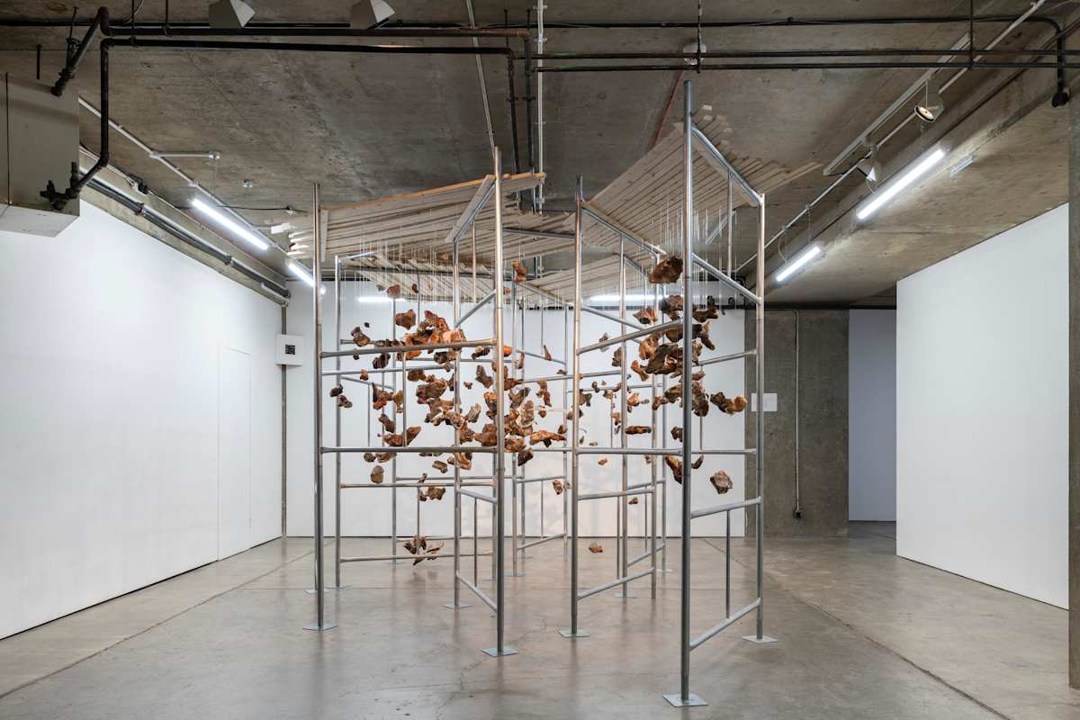 Here Tell, Quantum Black, 2019 (Diaspora Pavilion) by sonia e barrett, Image 1.