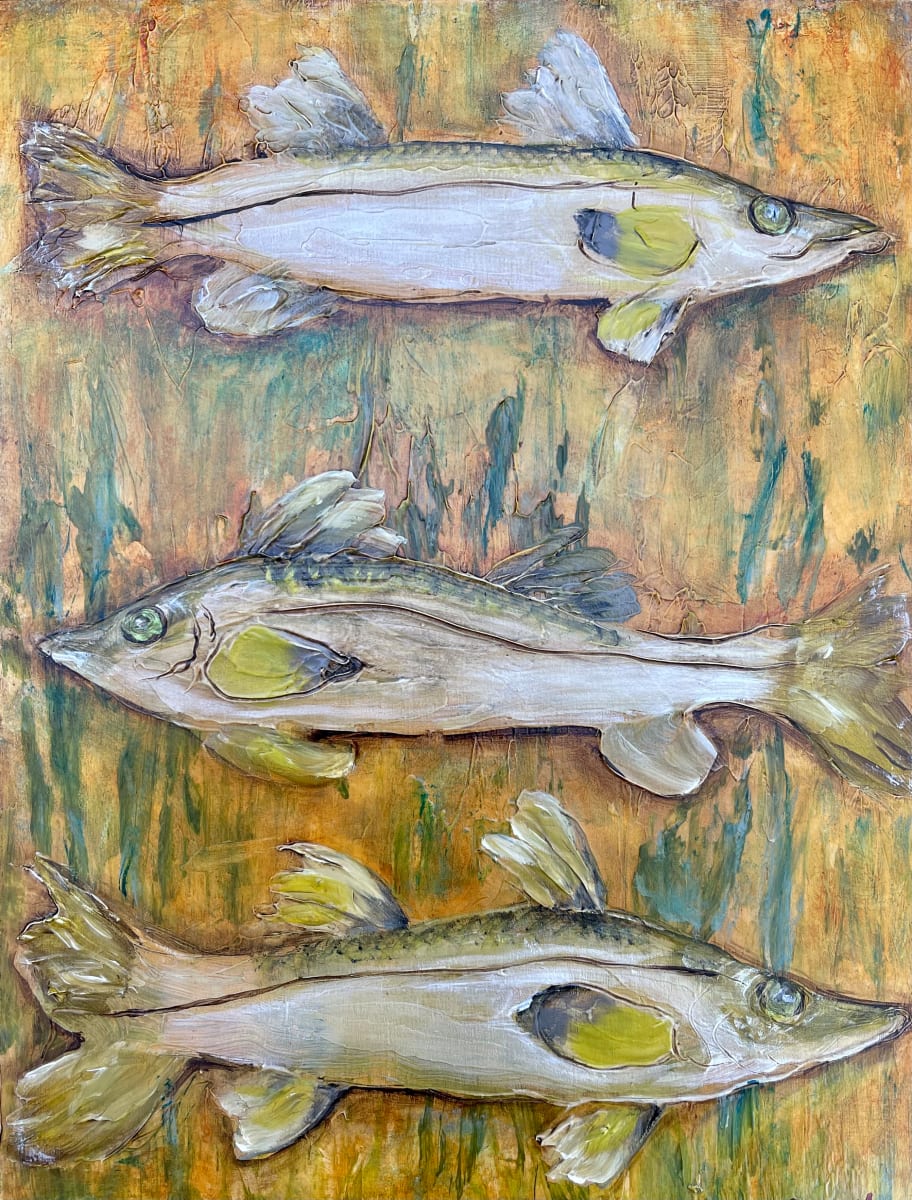 Common Snook 
